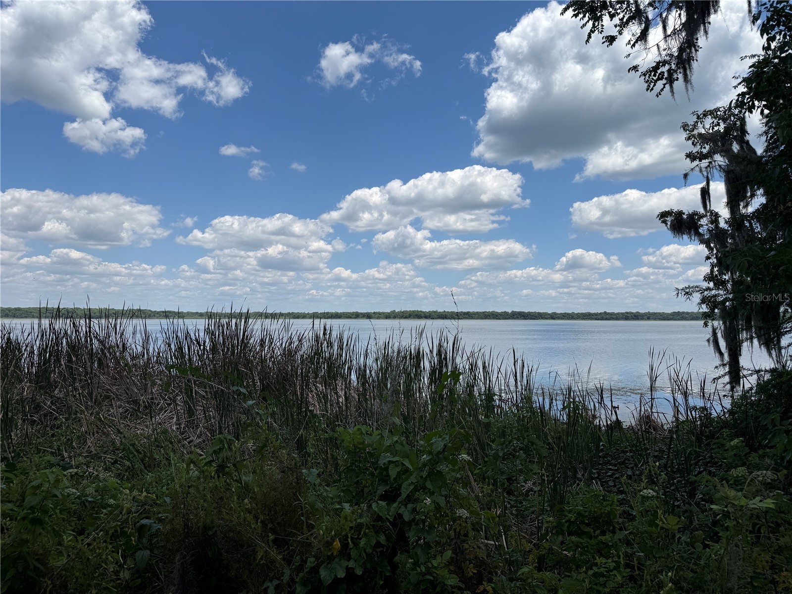 4232 County Road 400 Lake Panasoffkee FL 33538 - LAKE PANASOFFKEE G5112404 image24