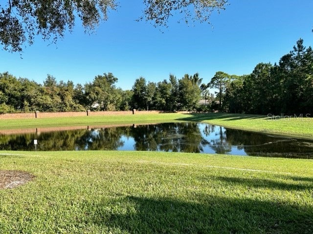 4232 Messina Drive Lake Mary FL 32746 O6406145 image6