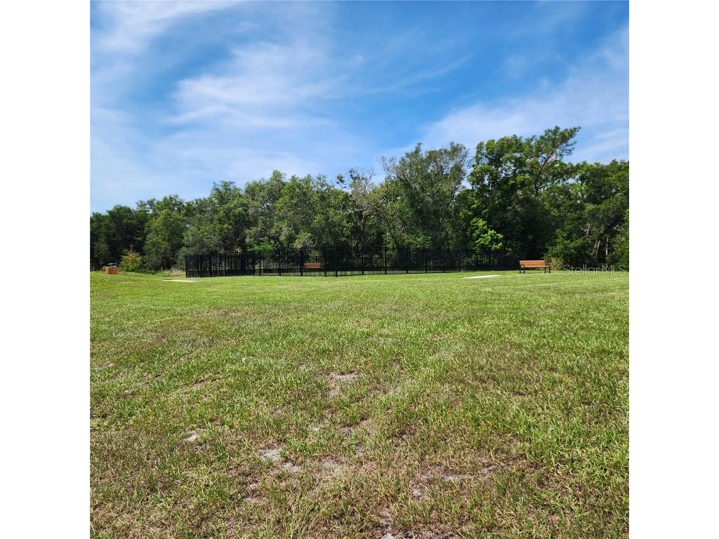 4232 Sadler Road Apopka FL 32712 O6340271 image35