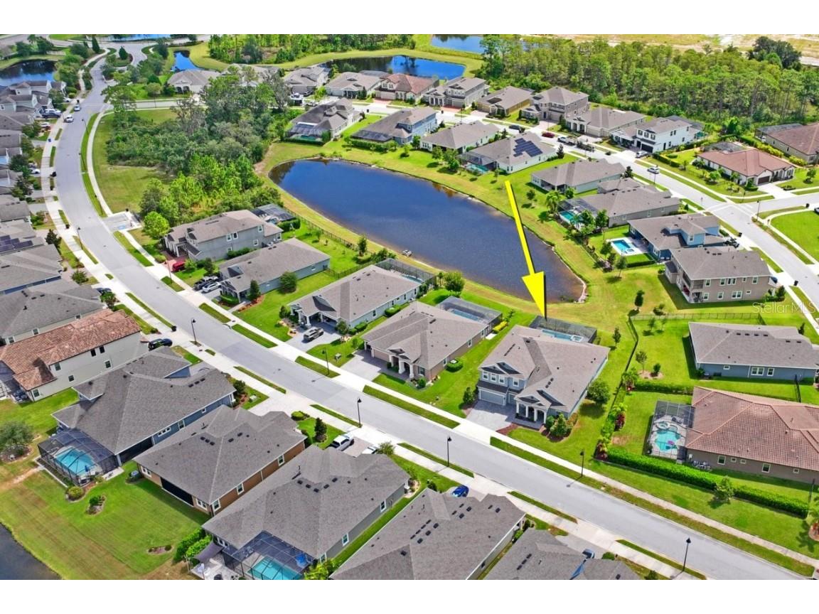 4232 Woodland Retreat Boulevard New Port Richey FL 34655 W7878860 image49