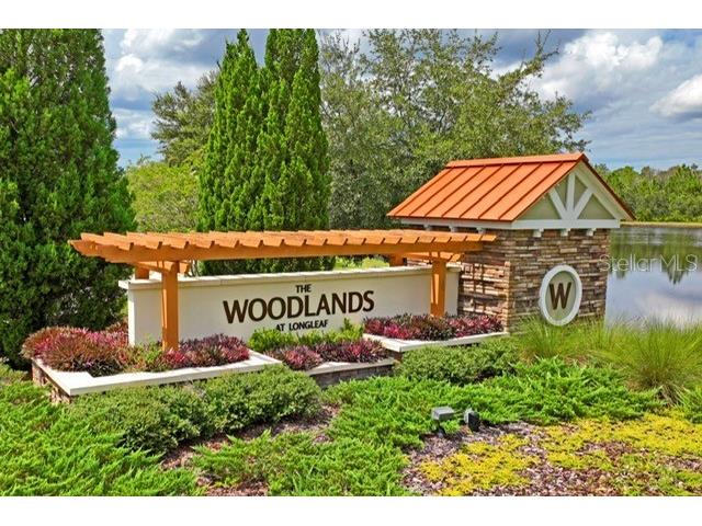 4232 Woodland Retreat Boulevard New Port Richey FL 34655 W7878860 image50