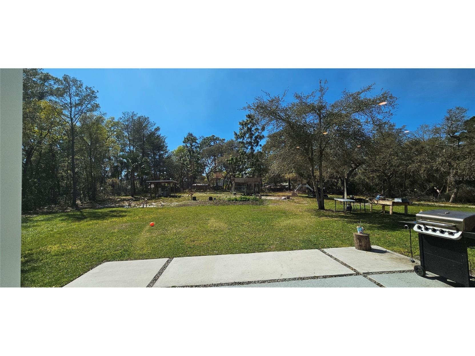 42329 Chinaberry Street Eustis FL 32736 - LAKE NORRIS ST JOHNS RIVER G5093465 image12