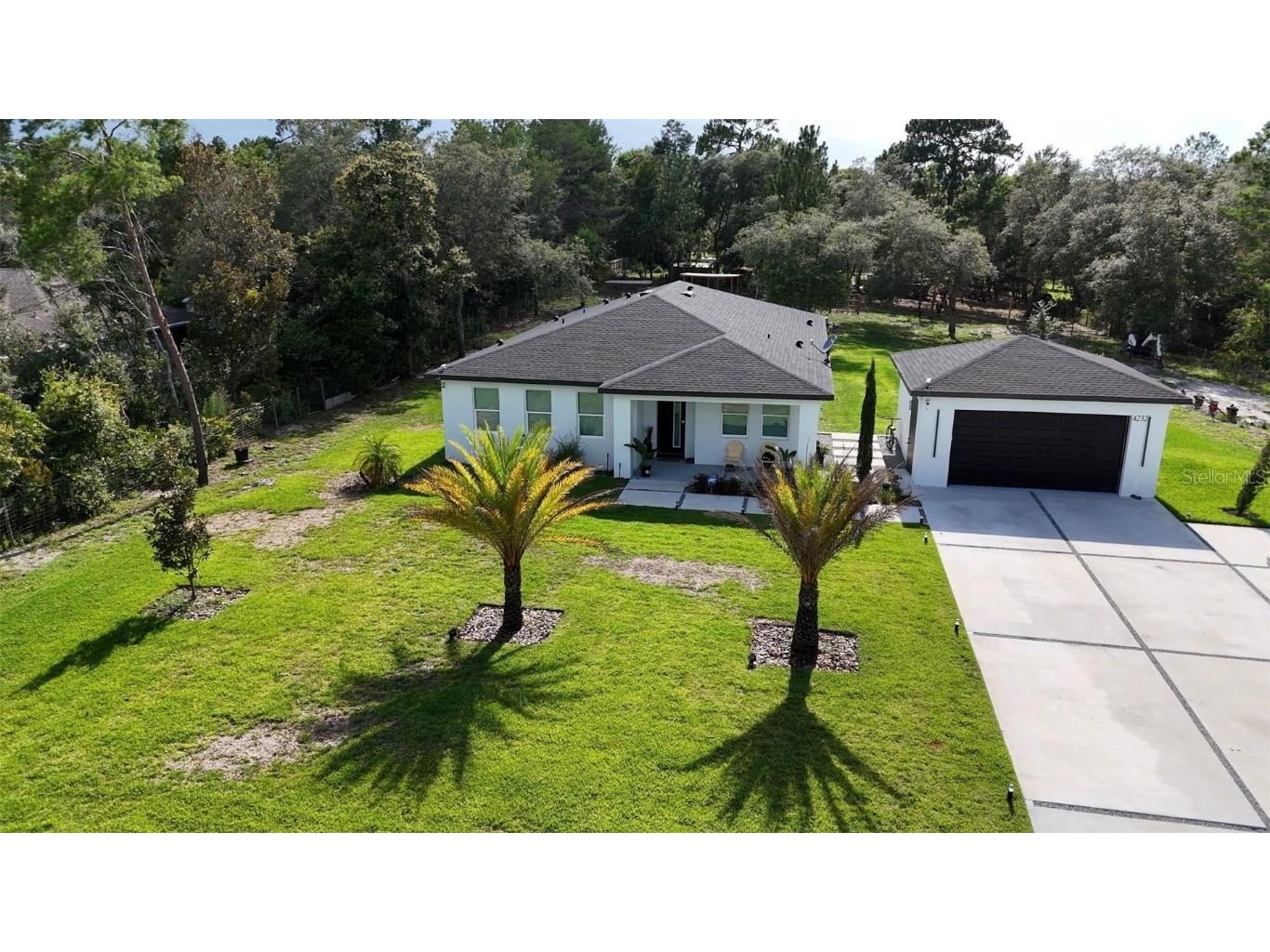 42329 Chinaberry Street Eustis FL 32736 - LAKE NORRIS ST JOHNS RIVER G5093465 image8