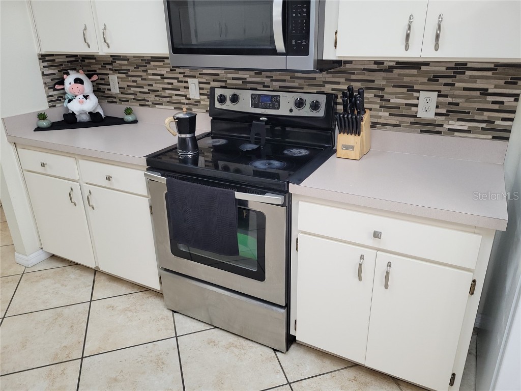 4233 Amber Ridge Lane Valrico FL 33594 TB8413524 image39