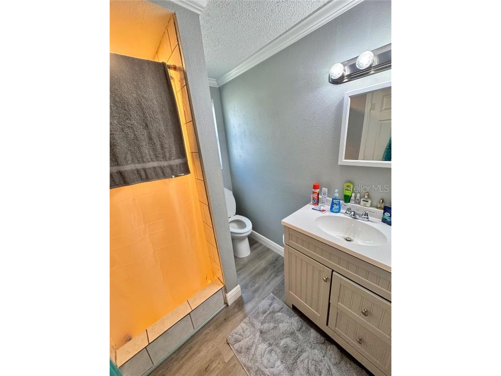 4233 Flora Avenue Holiday FL 34691 W7877562 image17