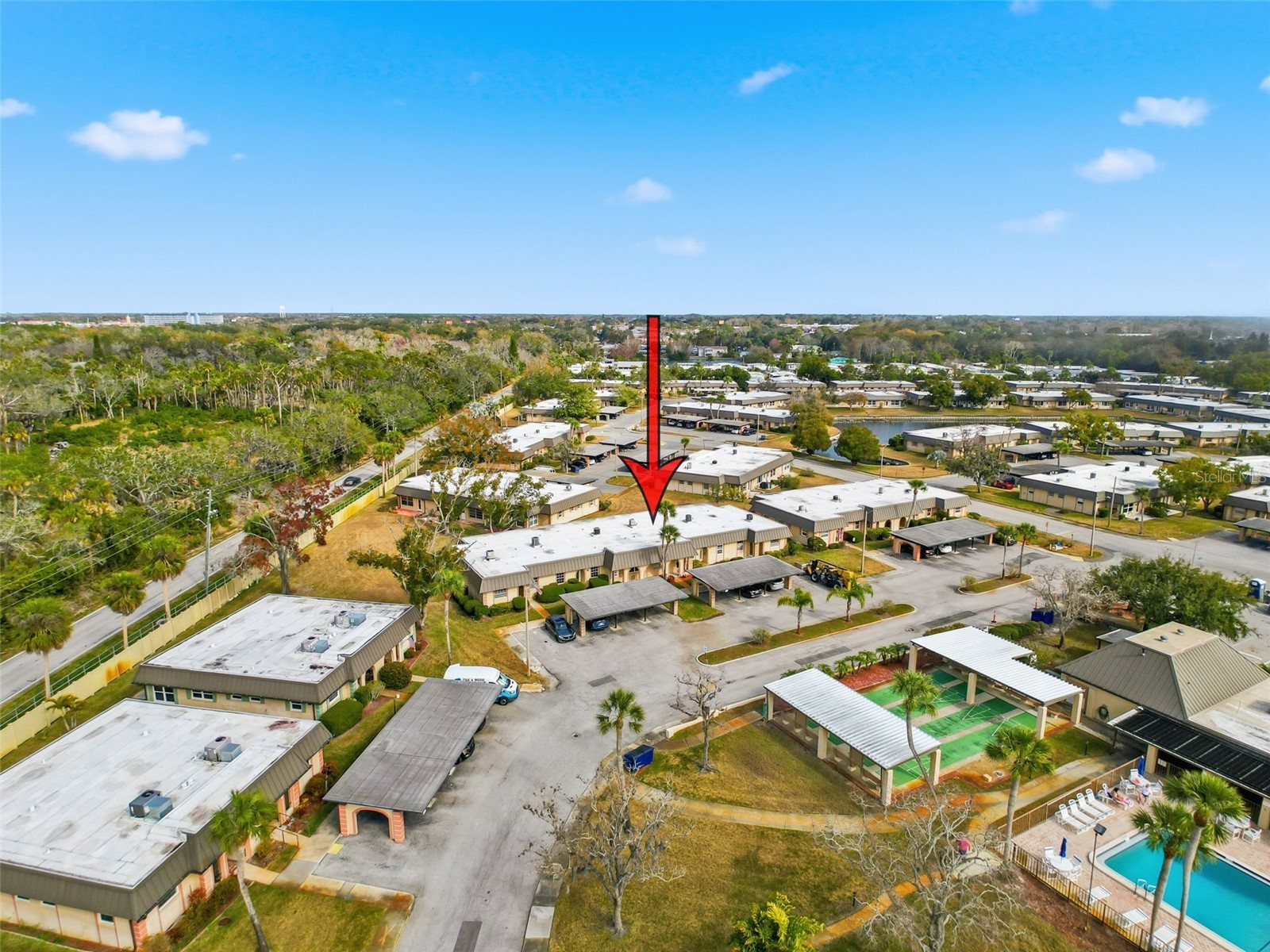 4233 Stratford Drive #D New Port Richey FL 34652 W7883008 image33