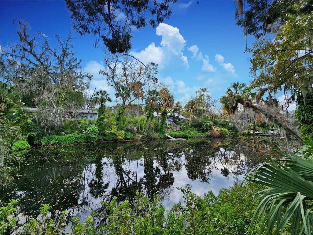 4234 Alafia Boulevard Brandon FL 33511 T3497451 image1