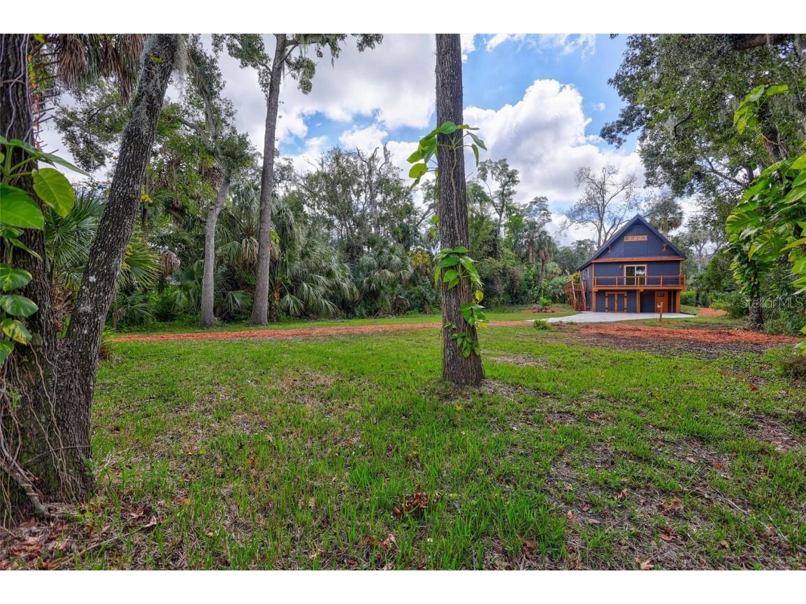 4234 Alafia Boulevard Brandon FL 33511 - ALAFIA TB8435227 image35