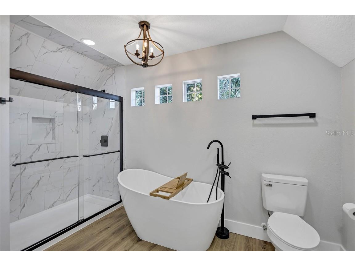 4234 Alafia Boulevard Brandon FL 33511 - ALAFIA TB8435227 image44