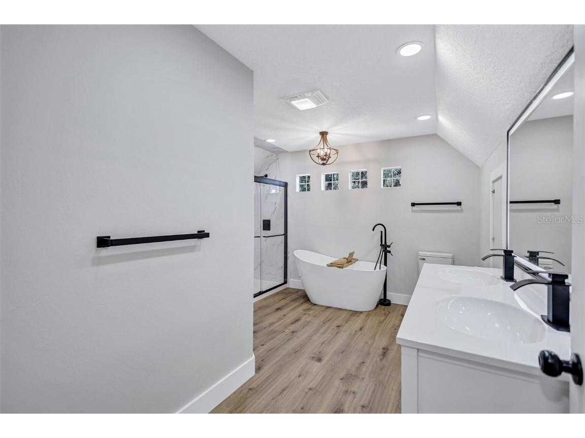 4234 Alafia Boulevard Brandon FL 33511 - ALAFIA TB8435227 image49