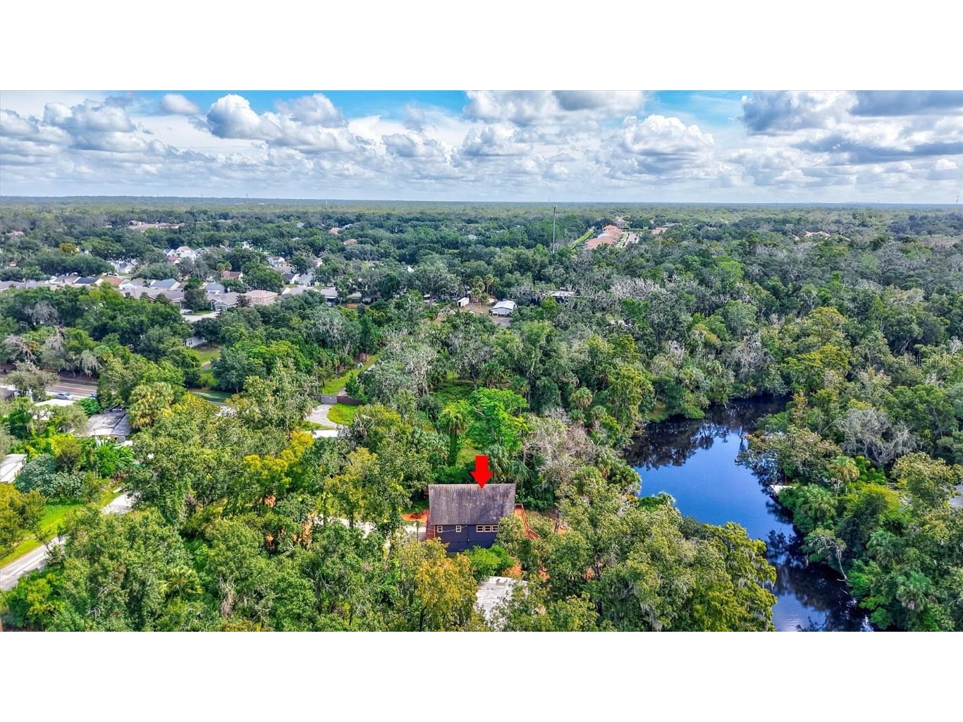 4234 Alafia Boulevard Brandon FL 33511 - ALAFIA TB8435227 image64