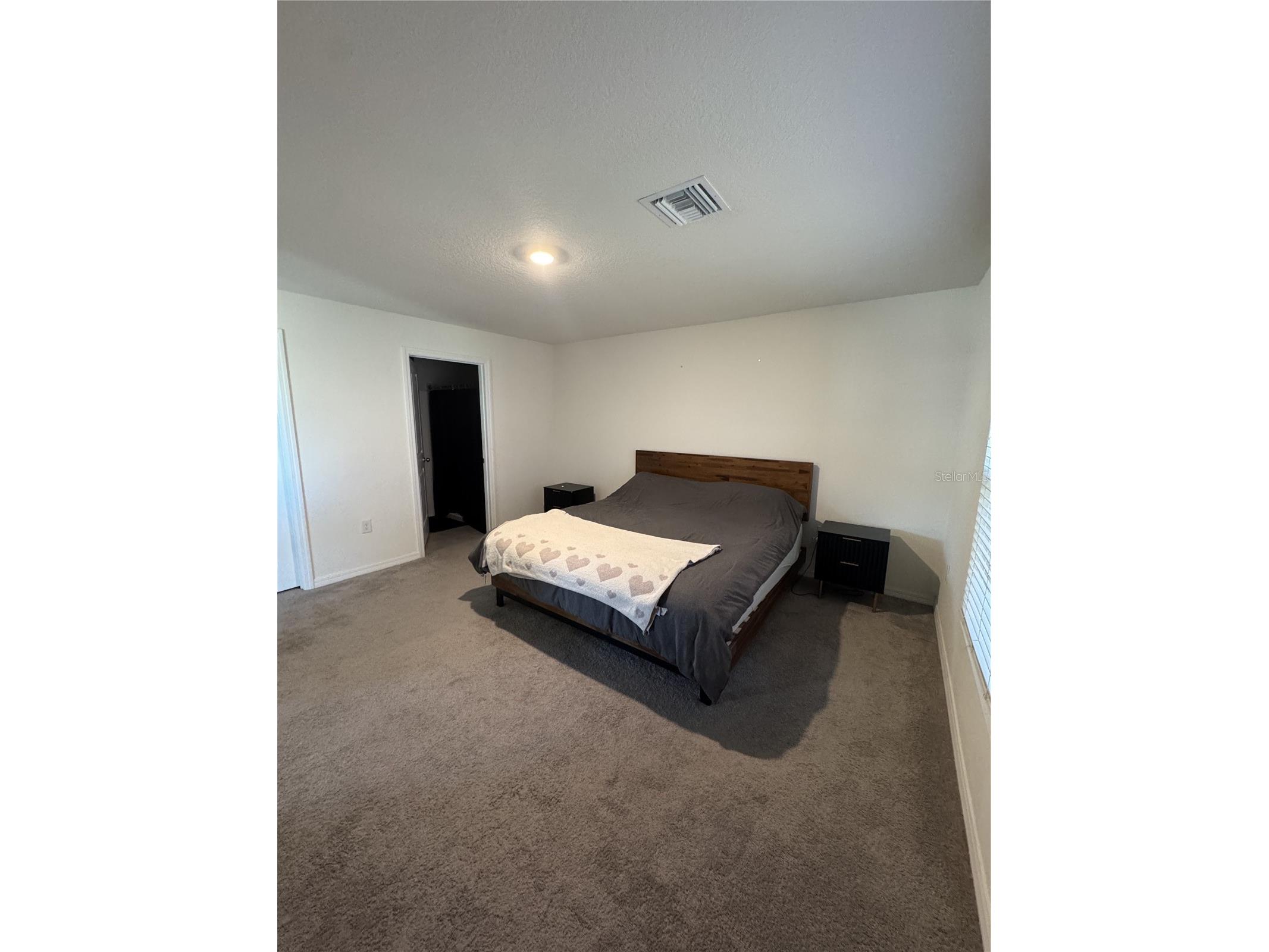 4234 Autumn Fog Court Palmetto FL 34221 W7884784 image4