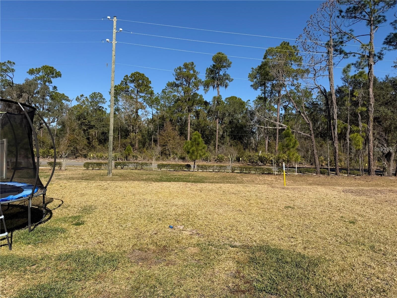 4234 Bridle Booster Way Lakeland FL 33801 S5145561 image15