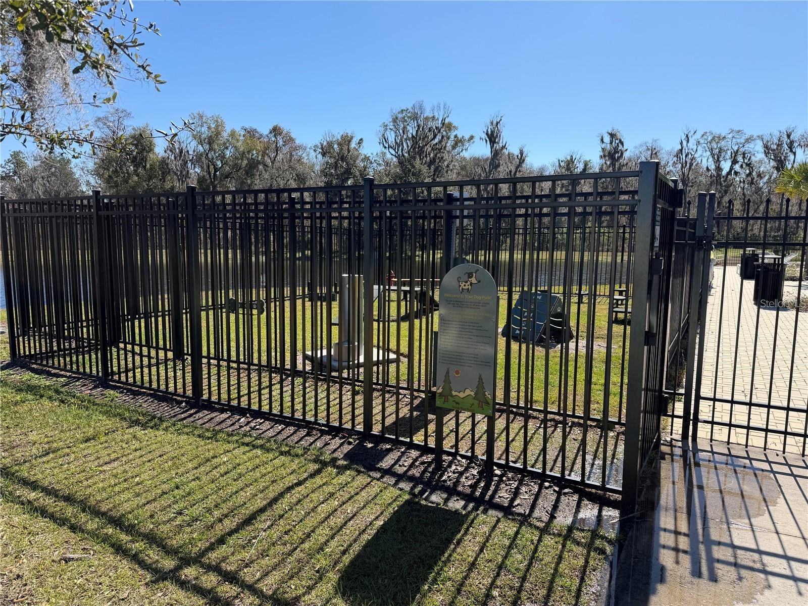4234 Bridle Booster Way Lakeland FL 33801 S5145561 image19