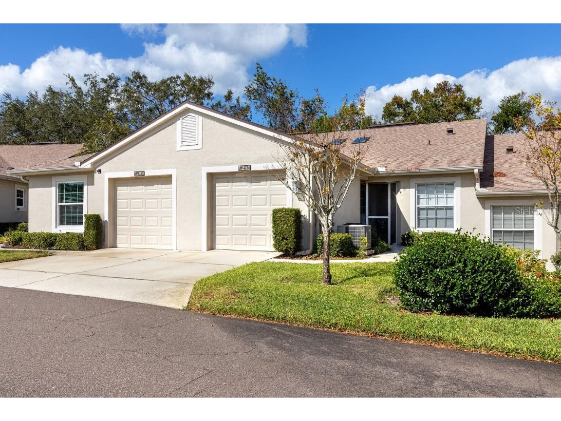 4234 Chesterfield Circle Palm Harbor FL 34683 TB8316381 image1