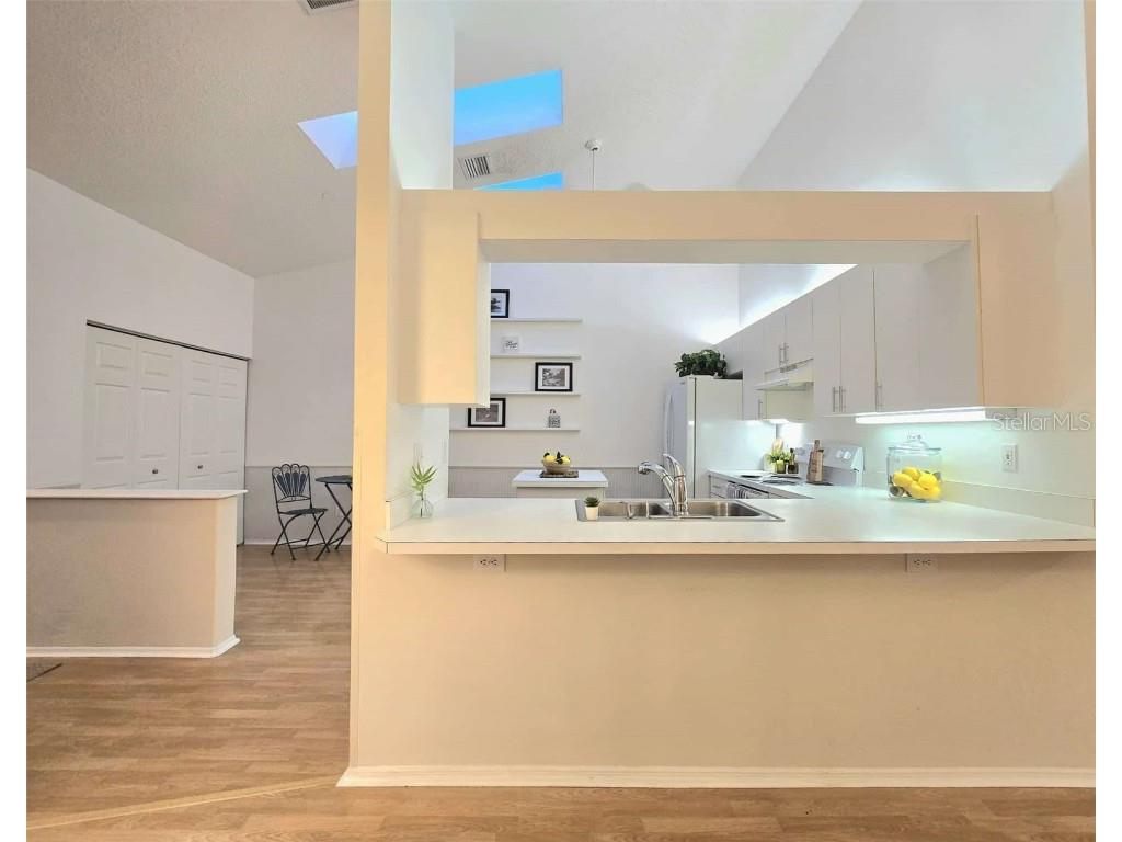 4234 Chesterfield Circle Palm Harbor FL 34683 TB8316381 image18