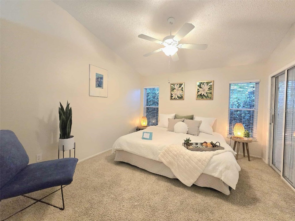 4234 Chesterfield Circle Palm Harbor FL 34683 TB8316381 image29