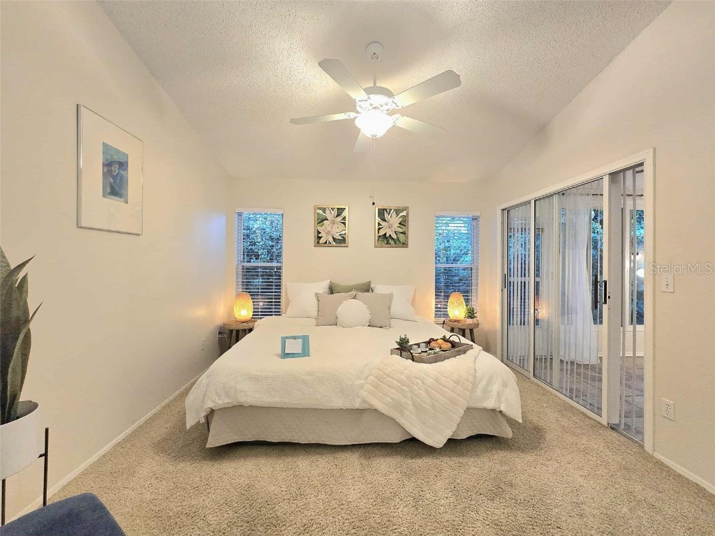 4234 Chesterfield Circle Palm Harbor FL 34683 TB8316381 image30