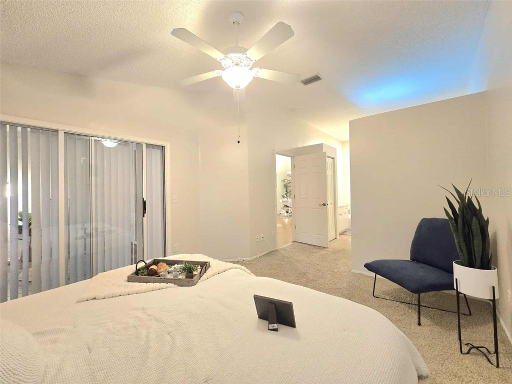 4234 Chesterfield Circle Palm Harbor FL 34683 TB8316381 image31