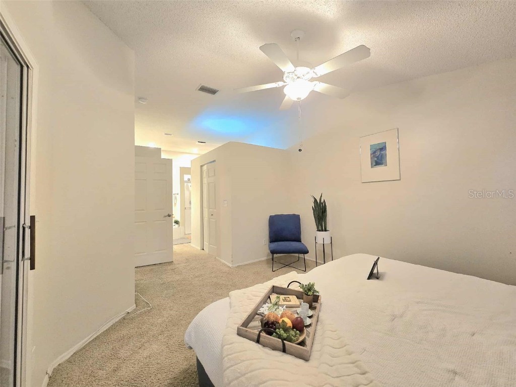 4234 Chesterfield Circle Palm Harbor FL 34683 TB8316381 image32