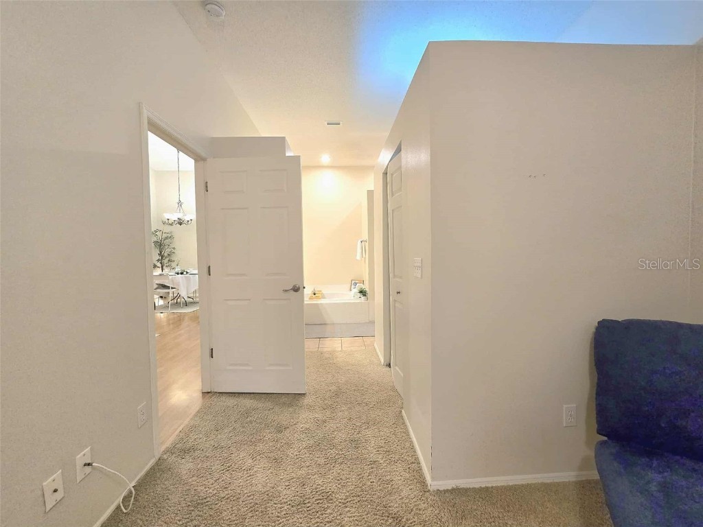 4234 Chesterfield Circle Palm Harbor FL 34683 TB8316381 image33