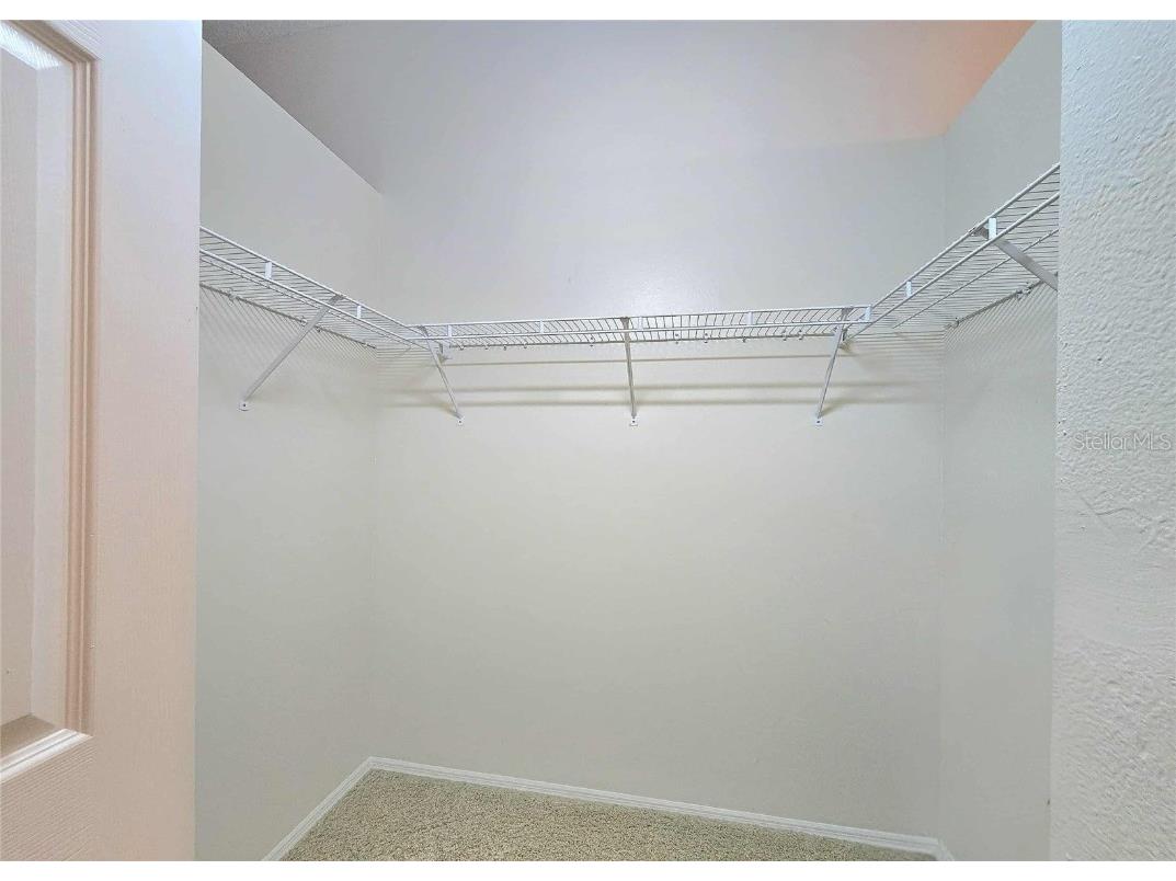 4234 Chesterfield Circle Palm Harbor FL 34683 TB8316381 image34