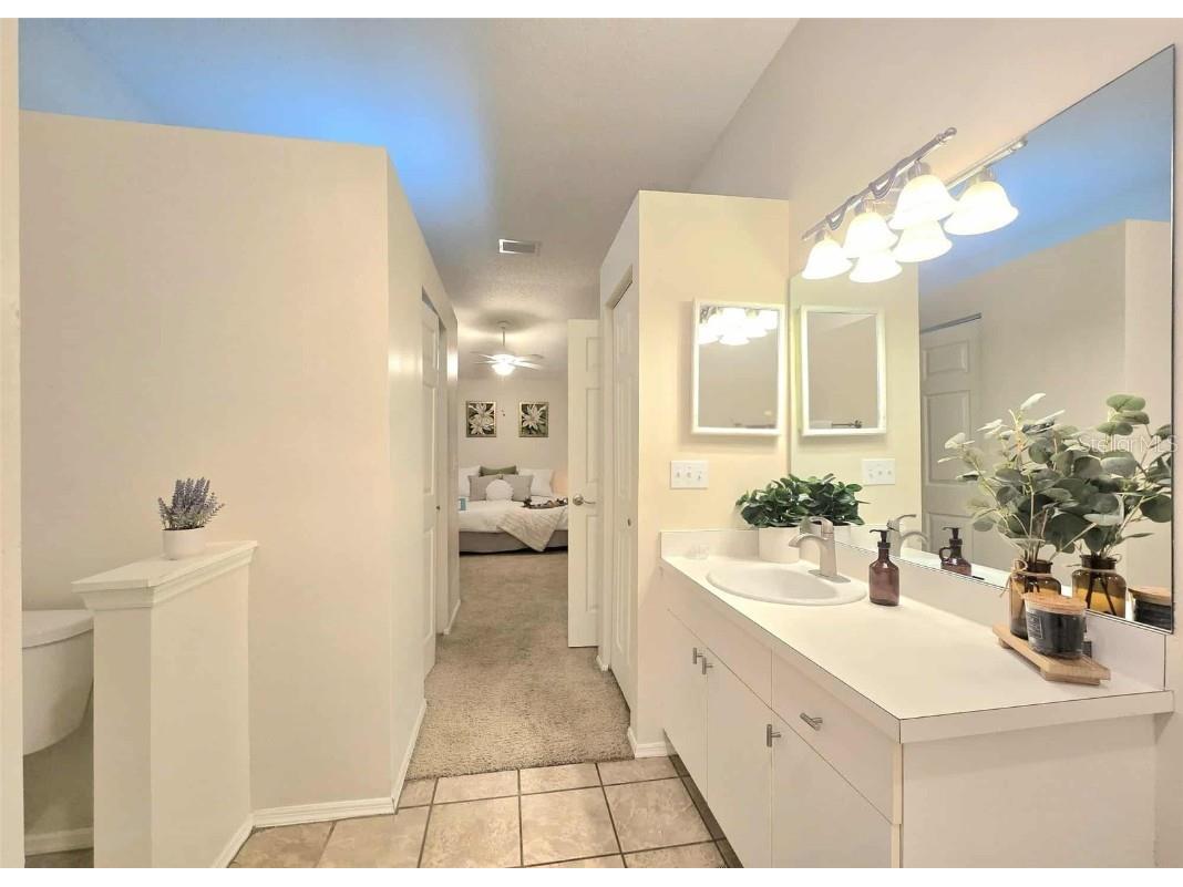 4234 Chesterfield Circle Palm Harbor FL 34683 TB8316381 image39