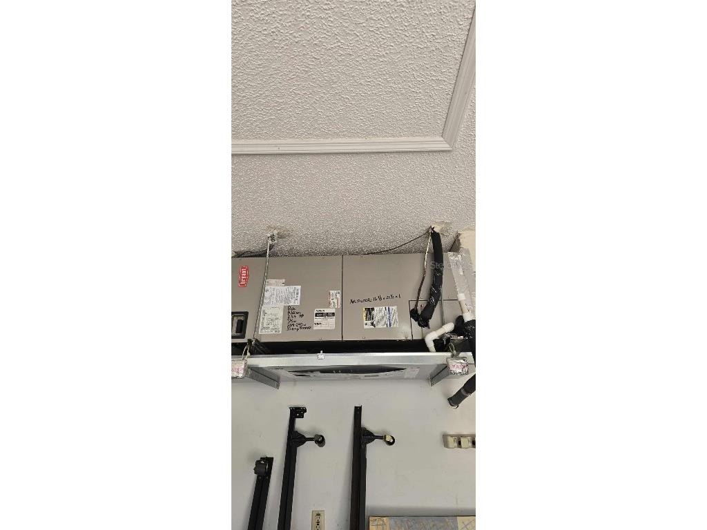 4234 Chesterfield Circle Palm Harbor FL 34683 TB8316381 image42