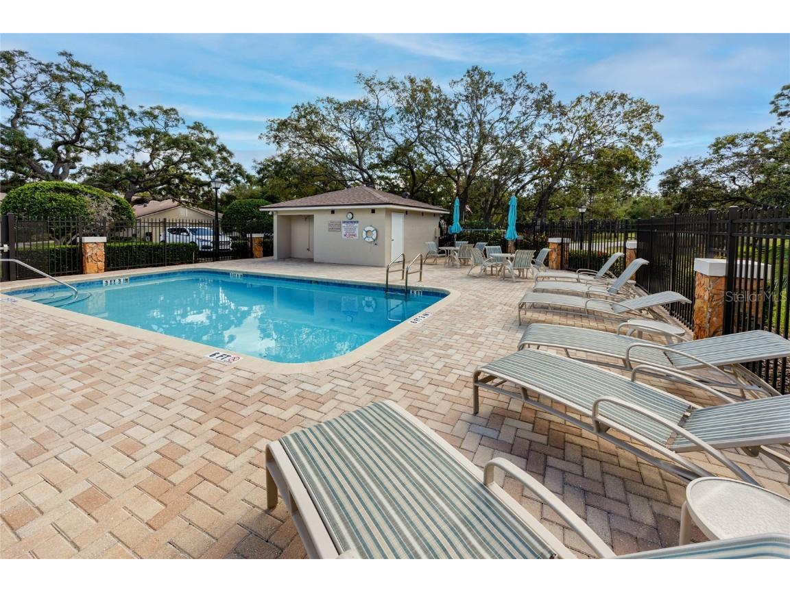 4234 Chesterfield Circle Palm Harbor FL 34683 TB8316381 image45