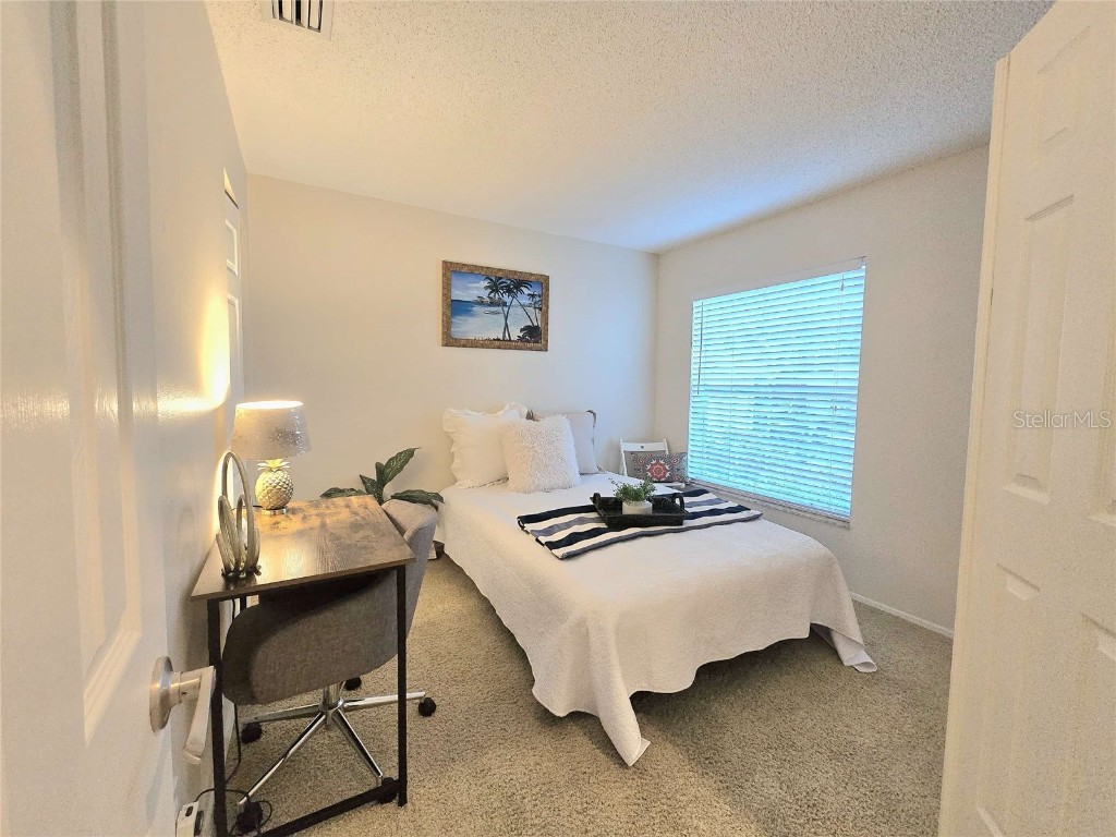 4234 Chesterfield Circle Palm Harbor FL 34683 TB8316381 image5