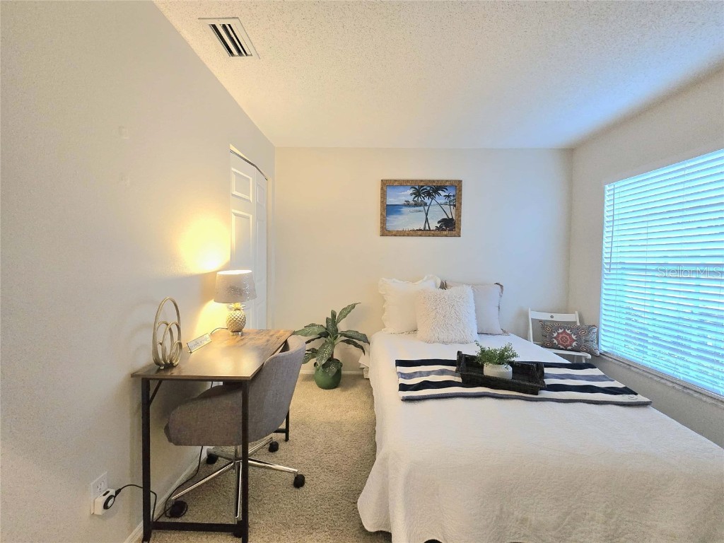 4234 Chesterfield Circle Palm Harbor FL 34683 TB8316381 image6