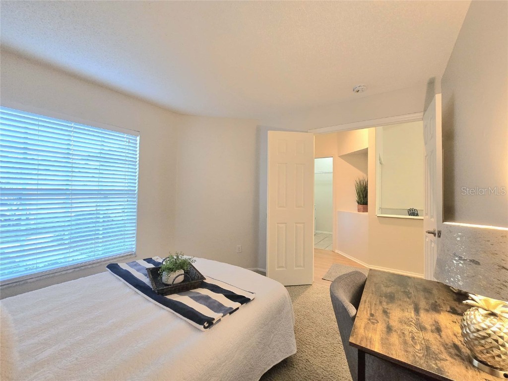 4234 Chesterfield Circle Palm Harbor FL 34683 TB8316381 image7