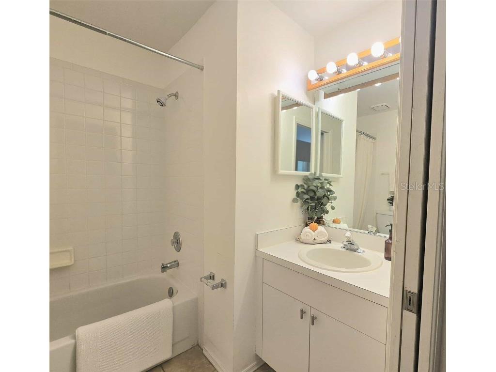 4234 Chesterfield Circle Palm Harbor FL 34683 TB8316381 image9