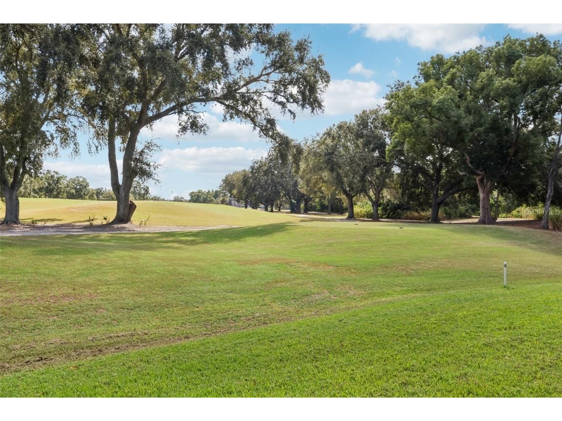 4234 Golf Club Lane Tampa FL 33618 TB8437922 image25