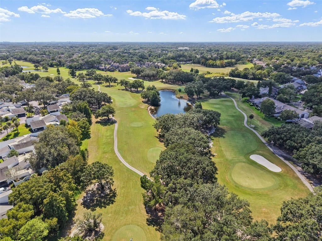 4234 Golf Club Lane Tampa FL 33618 TB8437922 image34