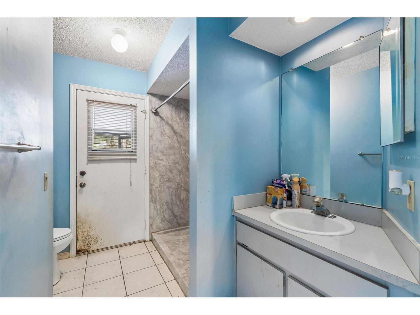 4235 Castle Avenue Spring Hill FL 34609 TB8532736 image51