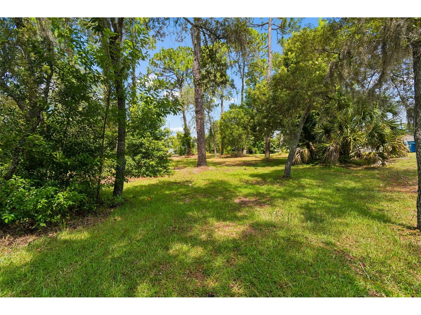 4235 Castle Avenue Spring Hill FL 34609 TB8532736 image69