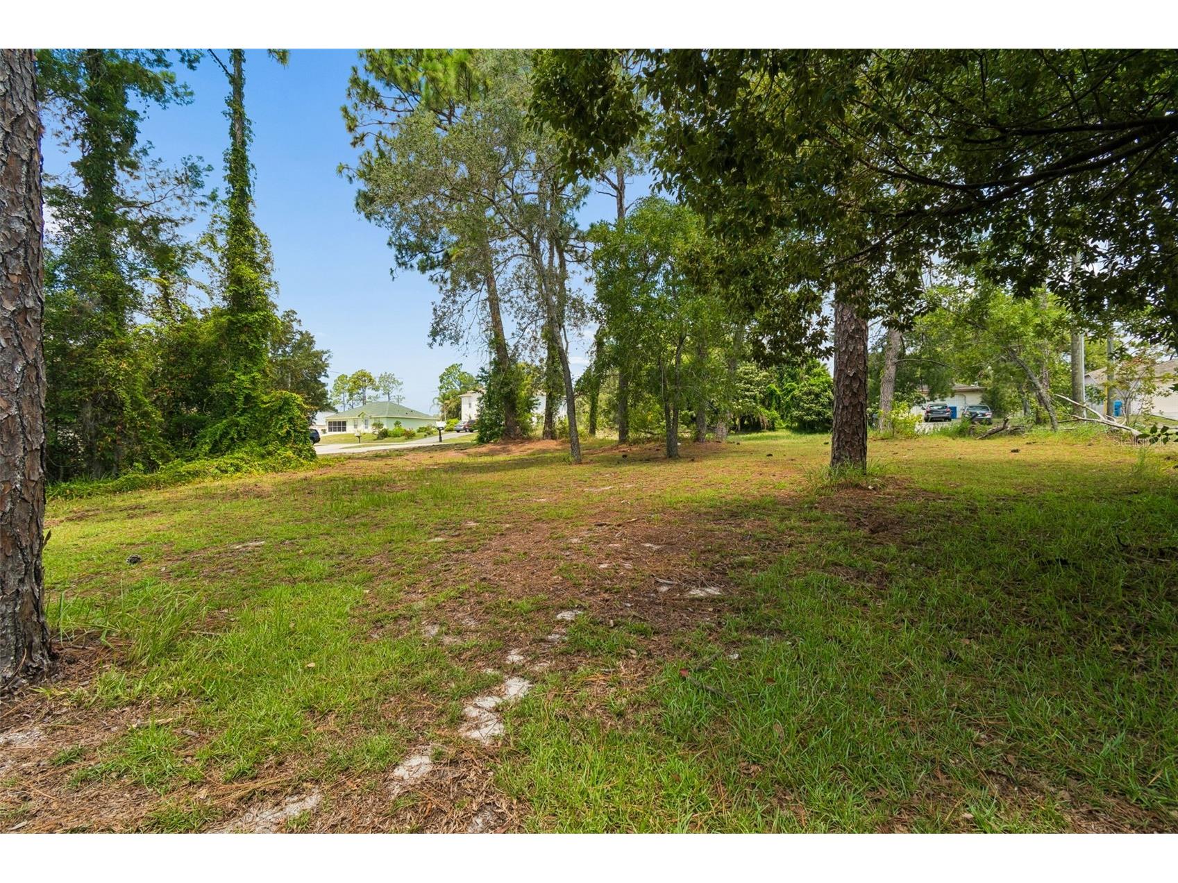 4235 Castle Avenue Spring Hill FL 34609 TB8532736 image70