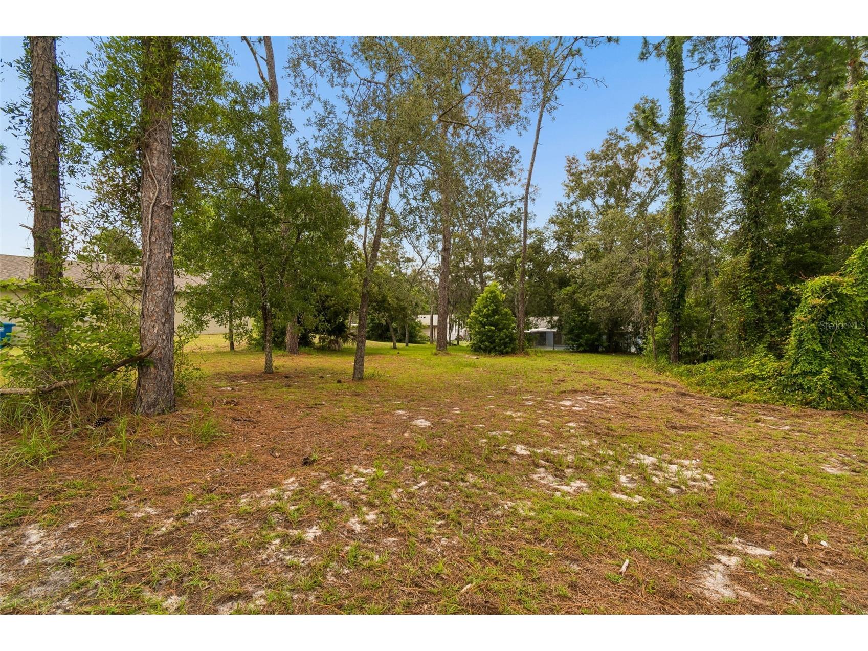 4235 Castle Avenue Spring Hill FL 34609 TB8532736 image73