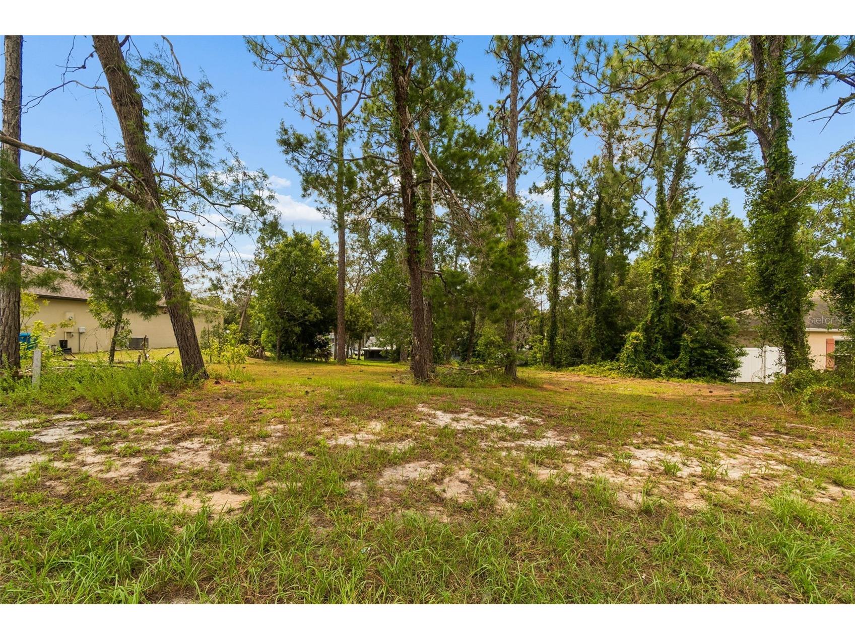 4235 Castle Avenue Spring Hill FL 34609 TB8532736 image74