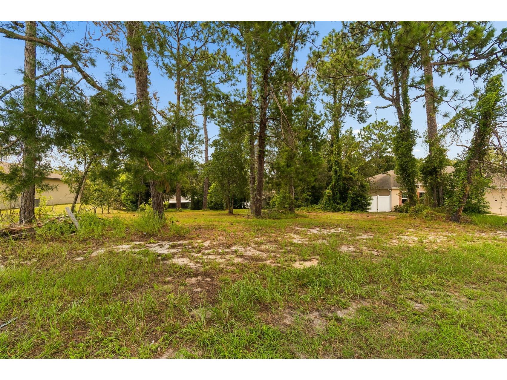 4235 Castle Avenue Spring Hill FL 34609 TB8532736 image75