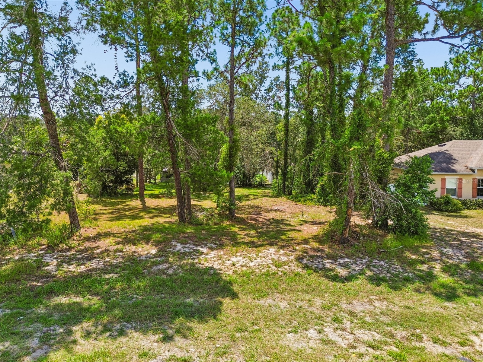 4235 Castle Avenue Spring Hill FL 34609 TB8532736 image95