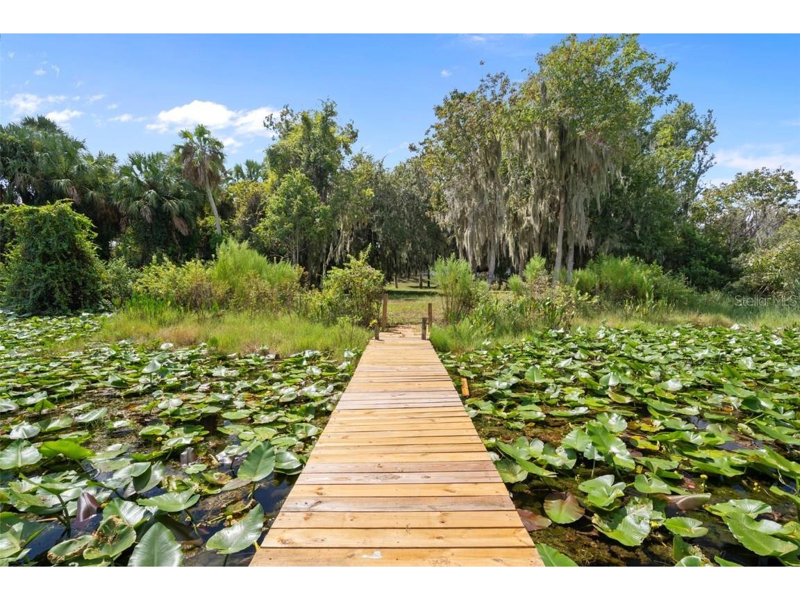 4235 Jennings Fish Camp Road Lake Wales FL 33898 - LAKE PIERCE W7879297 image11