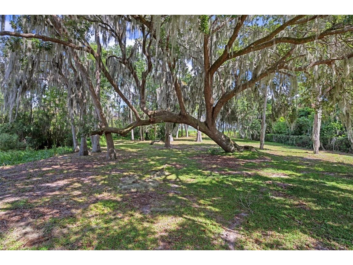 4235 Jennings Fish Camp Road Lake Wales FL 33898 - LAKE PIERCE W7879297 image75