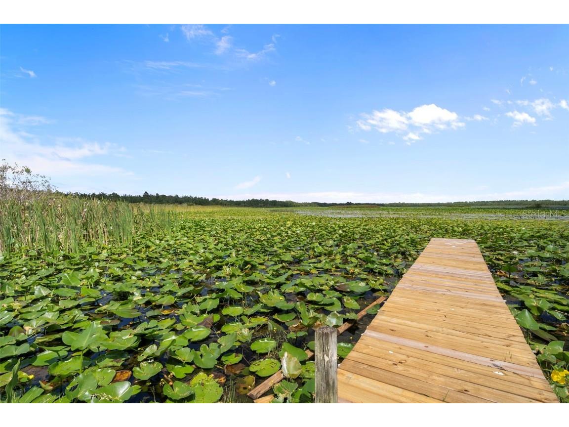 4235 Jennings Fish Camp Road Lake Wales FL 33898 - LAKE PIERCE W7879297 image78