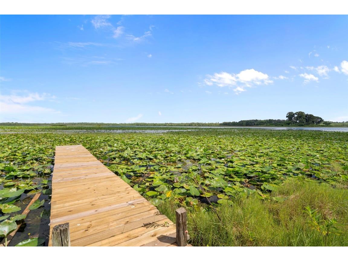 4235 Jennings Fish Camp Road Lake Wales FL 33898 - LAKE PIERCE W7879297 image79