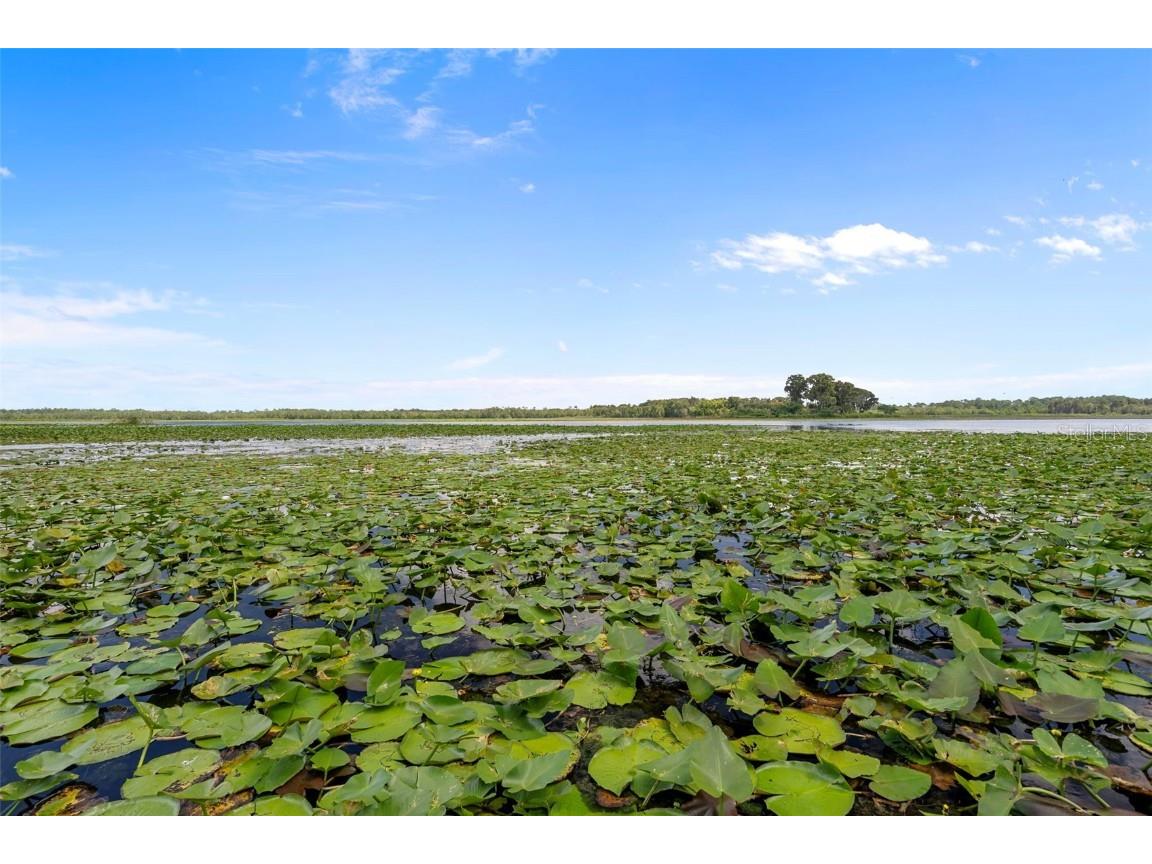 4235 Jennings Fish Camp Road Lake Wales FL 33898 - LAKE PIERCE W7879297 image80