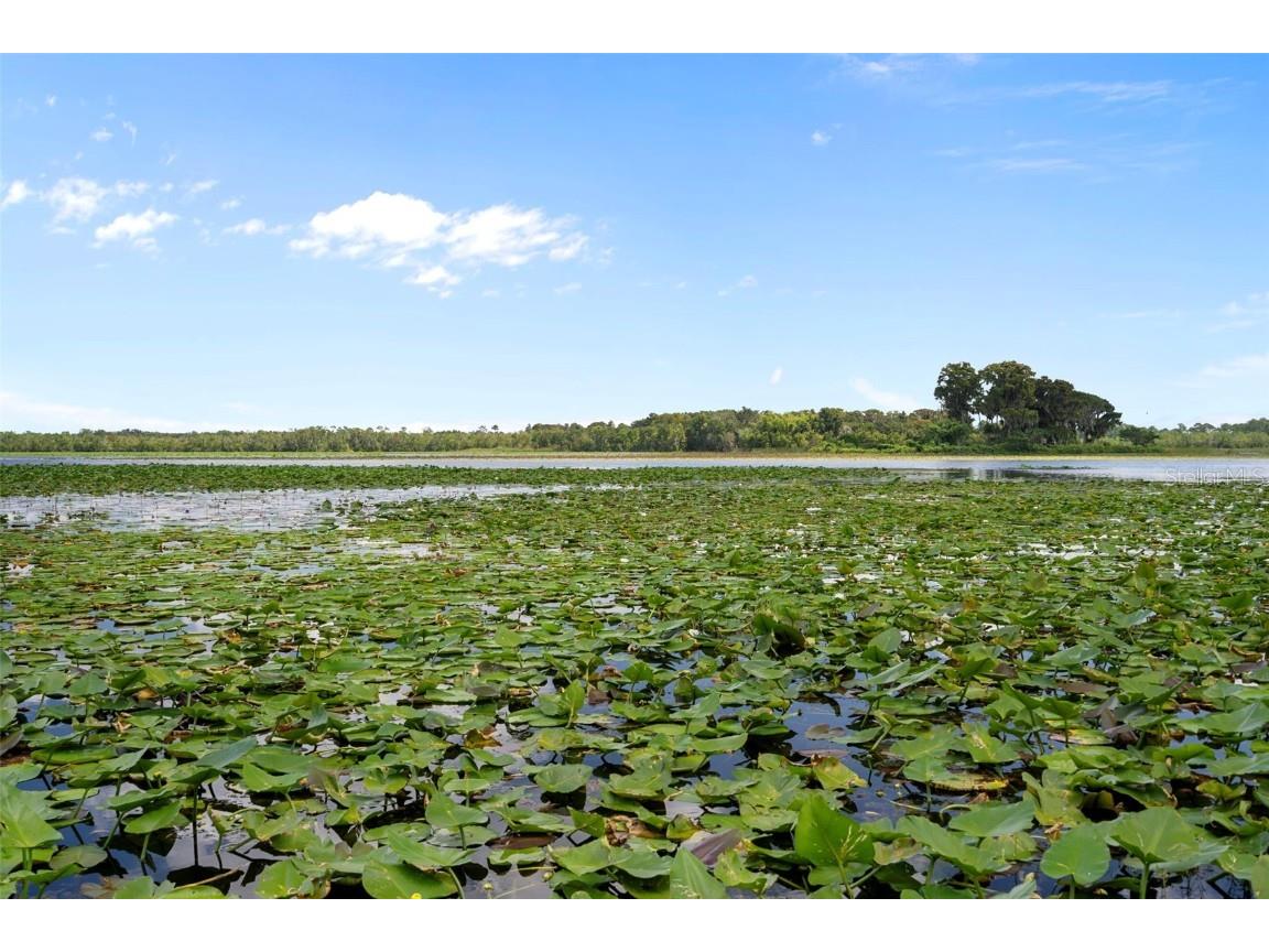 4235 Jennings Fish Camp Road Lake Wales FL 33898 - LAKE PIERCE W7879297 image81