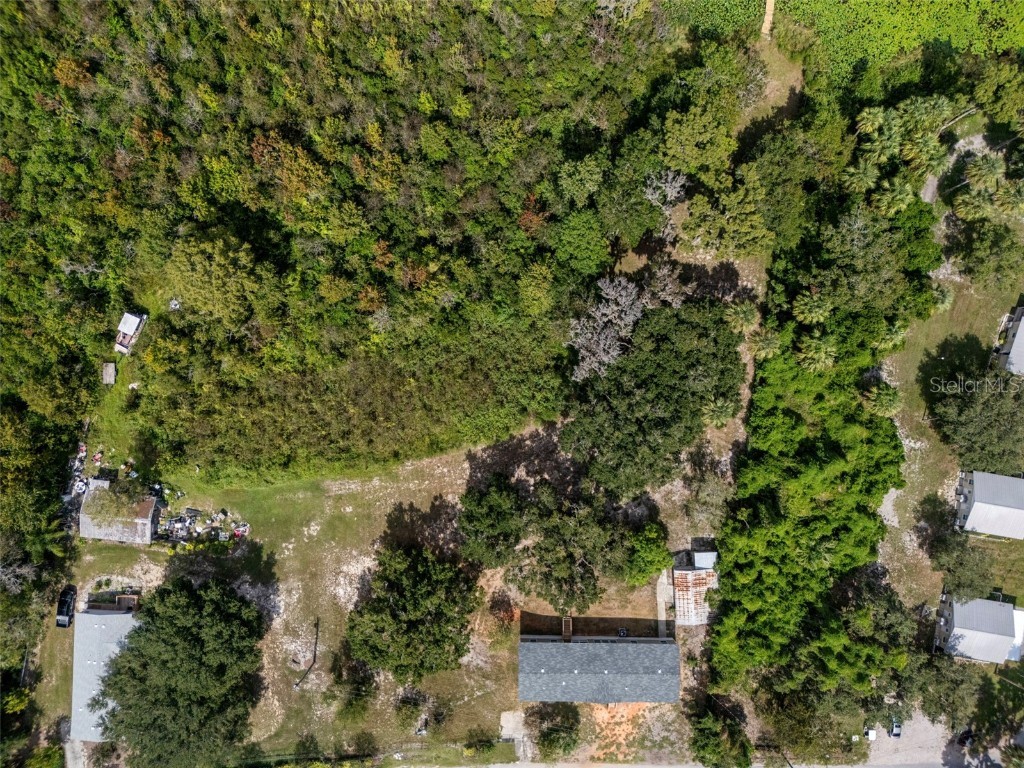 4235 Jennings Fish Camp Road Lake Wales FL 33898 - LAKE PIERCE W7879297 image86