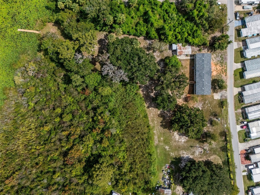 4235 Jennings Fish Camp Road Lake Wales FL 33898 - LAKE PIERCE W7879297 image87